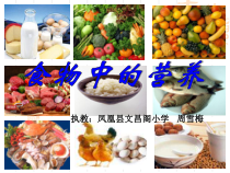 科学【湘科版】六上《食物中的营养》PPT课件 (4)