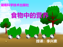 科学【湘科版】六上《食物中的营养》PPT课件 (6)