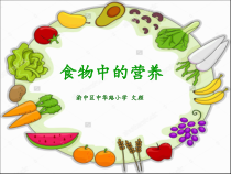 科学【湘科版】六上《食物中的营养》PPT课件 (7)
