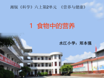 科学【湘科版】六上《食物中的营养》PPT课件 (8)