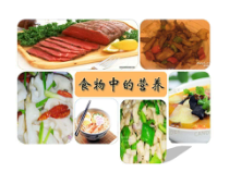 科学【湘科版】六上《食物中的营养》PPT课件 (10)