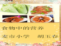 科学【湘科版】六上《食物中的营养》PPT课件 (15)
