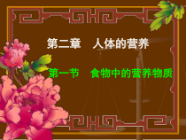 科学【湘科版】六上《食物中的营养》PPT课件 (16)