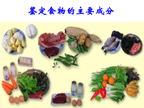 科学【湘科版】六上《食物中的营养》PPT课件
