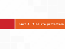 (人教版)高考英语一轮复习课件必修二预习案 Unit 4　Wildlife protection (含答案)