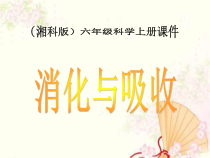 科学【湘科版】六上《消化与吸收》PPT课件 (3)