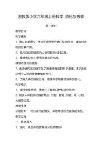 科学【湘科版】六上《消化与吸收》教案