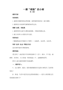 科学【湘科版】六上《一棵“顽强”的小树》教案 (2)