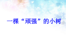 科学【湘科版】六上《一棵“顽强”的小树》PPT课件