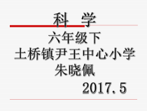 科学【湘科版】六上《走进池塘》PPT课件 (6)