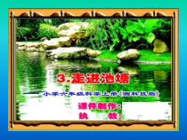 科学【湘科版】六上《走进池塘》PPT课件