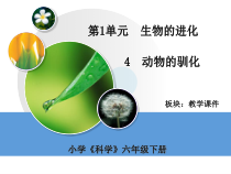 科学【湘科版】六下《动物的驯化》PPT课件 (5)