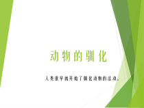 科学【湘科版】六下《动物的驯化》PPT课件 (12)