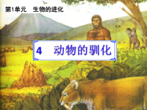 科学【湘科版】六下《动物的驯化》PPT课件 (14)