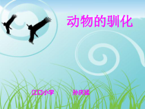 科学【湘科版】六下《动物的驯化》PPT课件 (16)