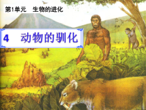 科学【湘科版】六下《动物的驯化》PPT课件 (20)
