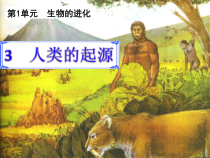 科学【湘科版】六下《人类的起源》PPT课件 (5)