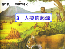 科学【湘科版】六下《人类的起源》PPT课件 (7)