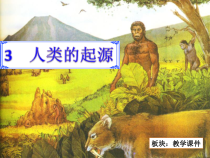 科学【湘科版】六下《人类的起源》PPT课件 (22)