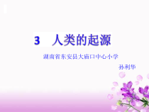 科学【湘科版】六下《人类的起源》PPT课件 (24)