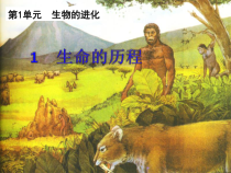 科学【湘科版】六下《生命的历程》PPT课件 (3)