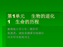 科学【湘科版】六下《生命的历程》PPT课件 (12)