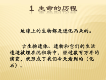 科学【湘科版】六下《生命的历程》PPT课件