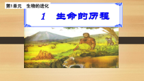 科学【湘科版】六下《生命的历程》PPT课件 (2)