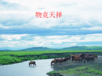 科学【湘科版】六下《物竞天择》PPT课件 (8)