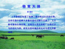 科学【湘科版】六下《物竞天择》PPT课件 (14)