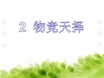 科学【湘科版】六下《物竞天择》PPT课件 (15)