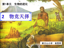 科学【湘科版】六下《物竞天择》第二课时）PPT课件