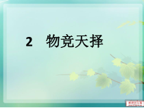 科学【湘科版】六下《物竞天择》PPT课件 (19)