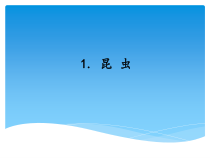 科学【新湘教版】三年级上册2.1《昆虫》PPT课件 (共11页)