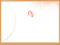 科学【新湘教版】三年级上册2.3《鸟》PPT课件 (共32页)