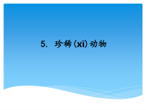 科学【新湘教版】三年级上册2.5《珍稀动物》PPT课件 (共13页)