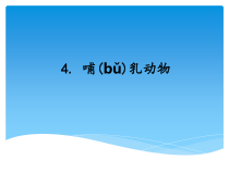 科学【新湘教版】三年级上册2.4《哺乳动物》PPT课件 (共16页)