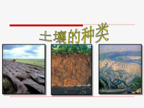 科学【新湘教版】三年级上册3.3《土壤的种类》PPT课件 (共16页)