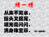 新湘科版科学三年级上册2.2《鱼》PPT课件（共25页） 