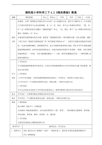 科学【2020新湘教版】三年级下册4.2《根的奥秘》教案