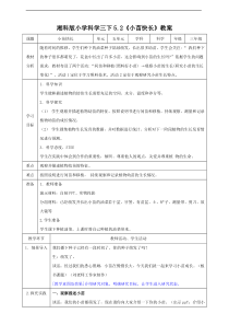 科学【2020新湘教版】三年级下册5.2《小苗快长》教案