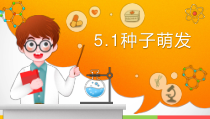 2020新湘教版三年级下册科学5.1《种子萌发》（课件32张PPT+4视频）