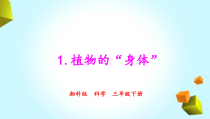 2020新湘科版三年级下册科学4.1《植物的“身体”》PPT课件(共12页含视频)