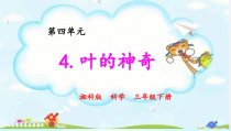 新湘科版三下科学第四单元《植物的秘密》4《叶的神奇》（PPT课件共15页含素材、视频)