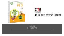 科学【2020新湘教版】三年级下册第1单元第2课-能溶解多少ppt课件（含视频）