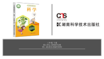 科学【2020新湘教版】三年级下册第6单元第1课-我们衣服的材料ppt课件（含视频）