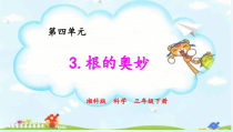 科学【2020湘教版】三年级下册4.2根的奥妙ppt课件（含视频）