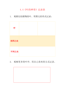 科学【2020新湘教版】三年级下册叶的神奇记录表