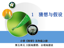 科学【湘科版】五年级上册《猜想与假设》PPT课件 (2)