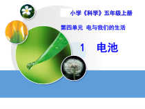 科学【湘科版】五年级上册《电池》PPT课件 (4)